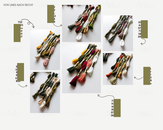 Wildblumen Farbguide 2025