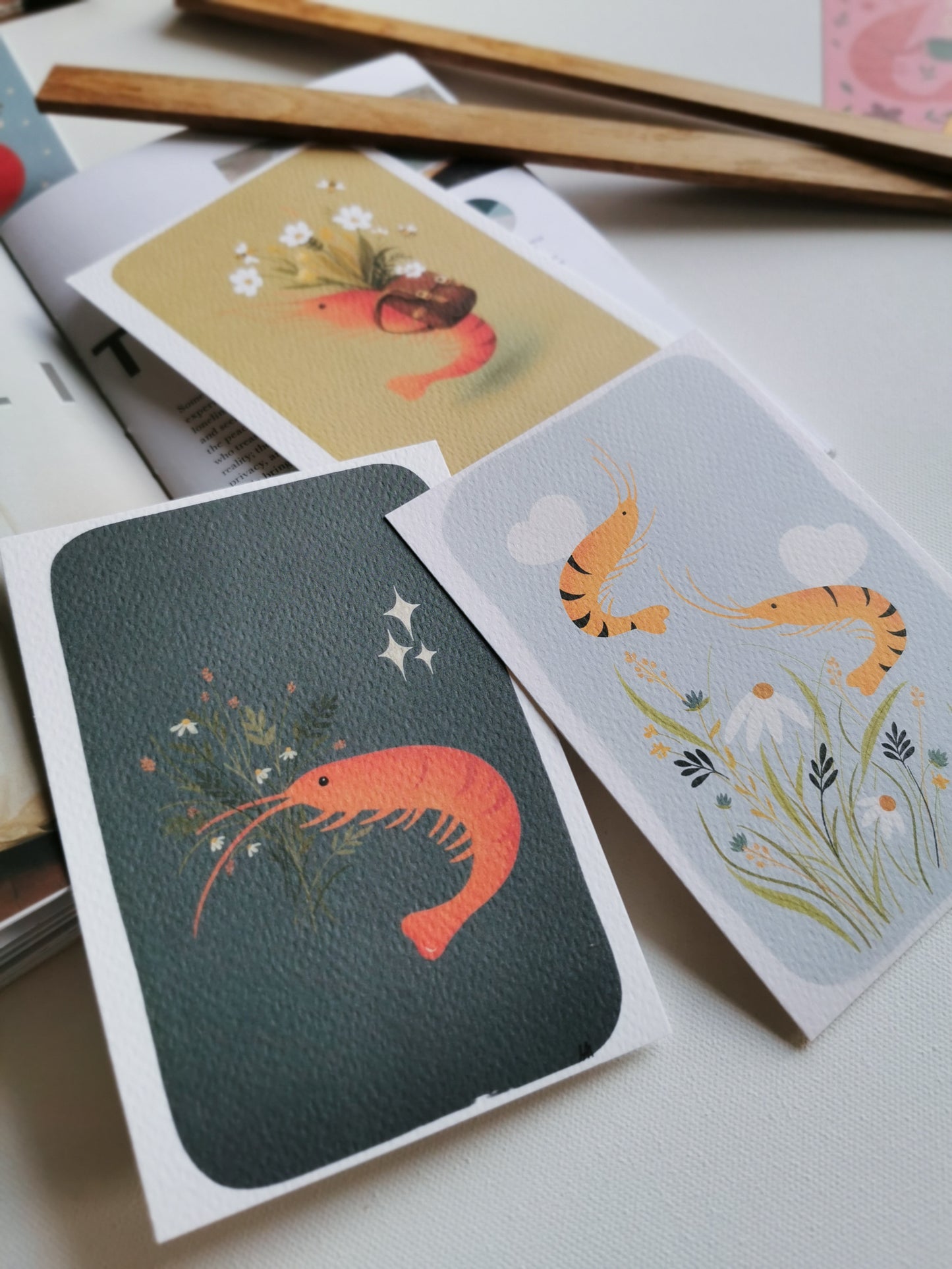 Postkarten Shrimp - Verschiedene Motive