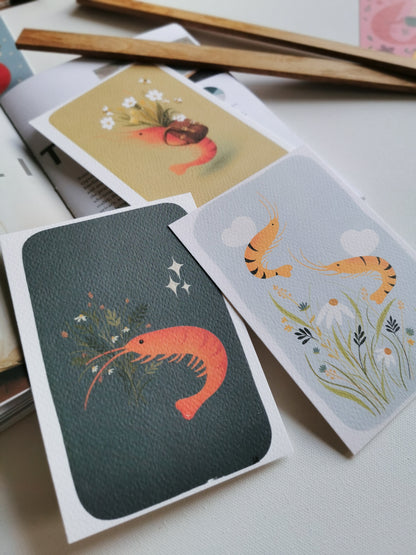 Postkarten Shrimp - Verschiedene Motive