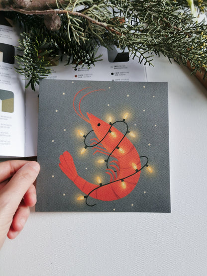 Postkarten Shrimp - Verschiedene Motive