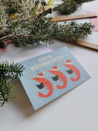 Postkarten Shrimp - Verschiedene Motive