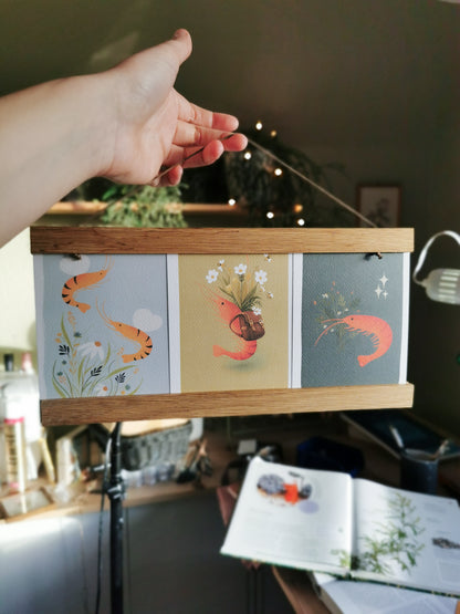 Postkarten Shrimp - Verschiedene Motive